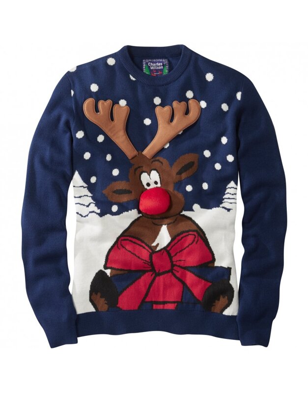 Image of Christmas Jumper and Break the Rules Day